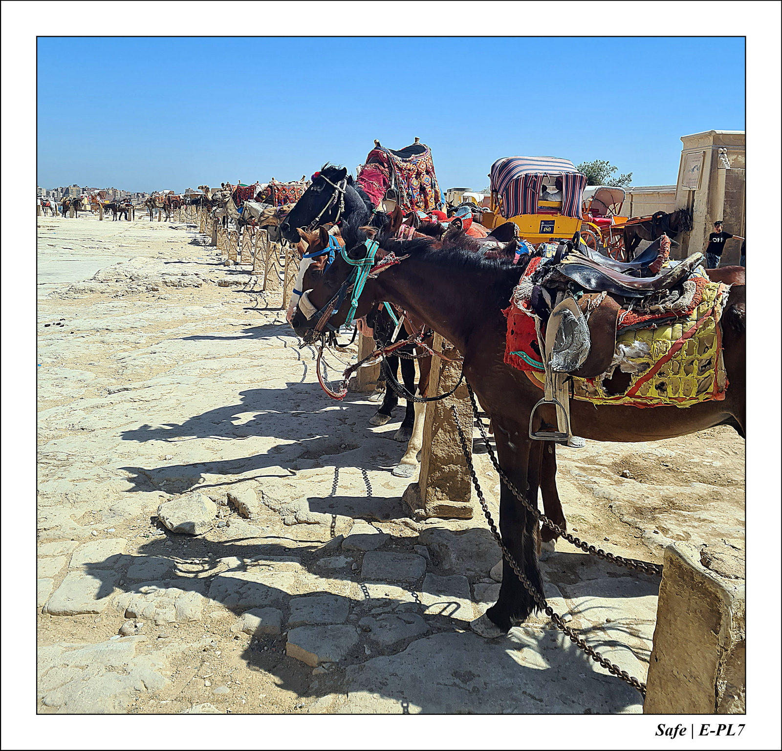 Le Caire - Juillet 2021 - 114